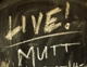 Live Mutts Pics